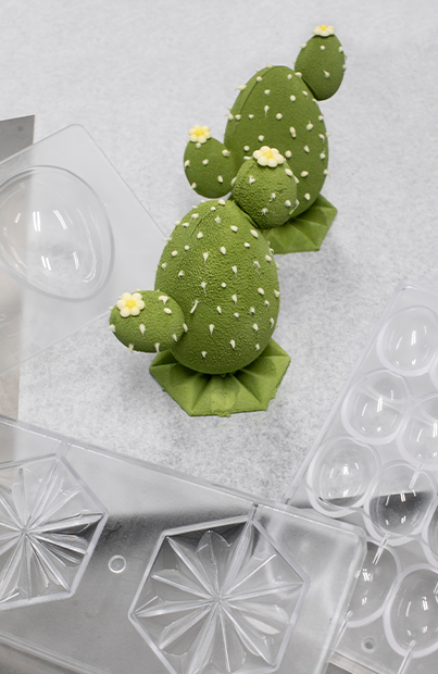 Cactus eivorm hergebruiken