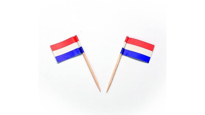 Vlaggenprikker NL 500st