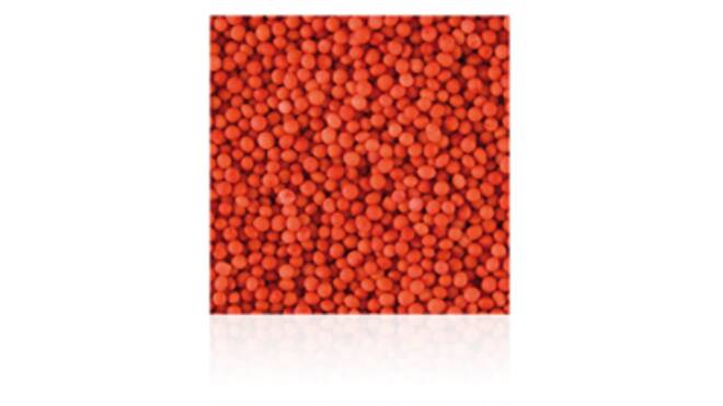 Musketzaad rood 2kg