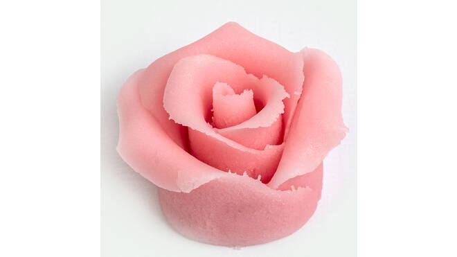 Rozen roze 6 blaadjes