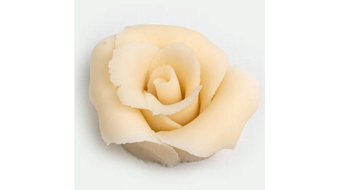 Rozen wit 6 blaadjes