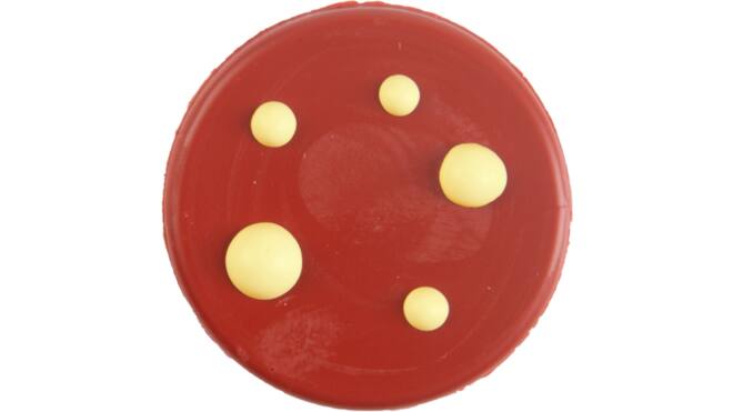Chocolade decoratie paddenstoel 25mm