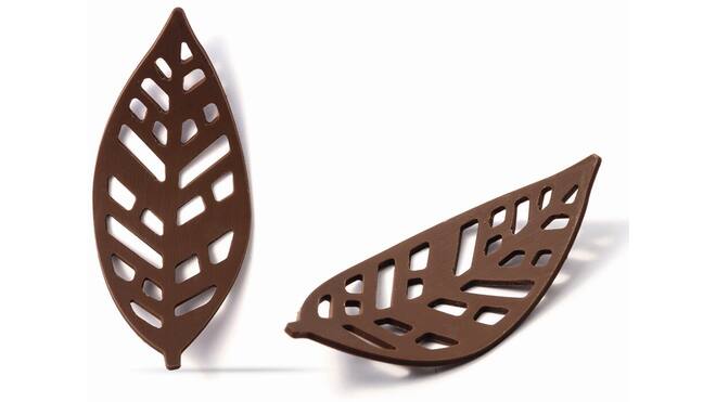 Curvy art leaf dark