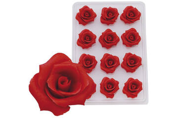 Rozen rood 10 blaadjes