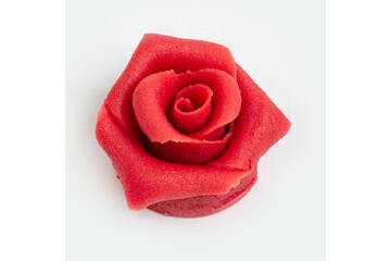Rozen rood 6 blaadjes