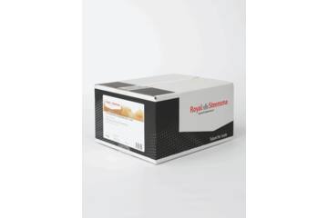 Citroenrasp standaard zk 1kg
