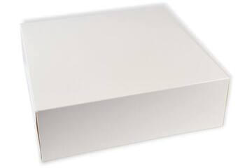Vensterdoos b&c 25x25x8 blanco