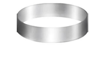 Bavaroisring rvs Ø 180 x 50 mm