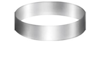 Bavaroisring rvs Ø 200 x 50 mm