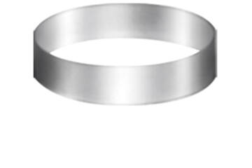 Bavaroisring rvs Ø 240 x 50 mm